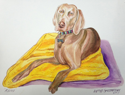 Portrait of a brown dog laying on yellow and purple towels